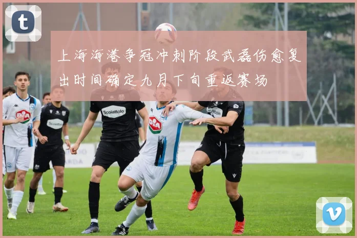 上海海港争冠冲刺阶段武磊伤愈复出时间确定九月下旬重返赛场