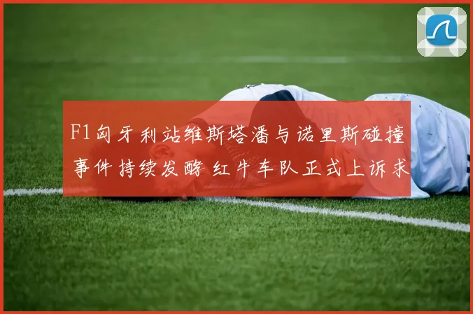 F1匈牙利站维斯塔潘与诺里斯碰撞事件持续发酵 红牛车队正式上诉求公正