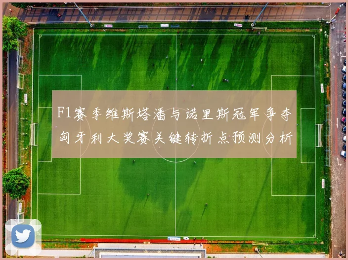 F1赛季维斯塔潘与诺里斯冠军争夺匈牙利大奖赛关键转折点预测分析
